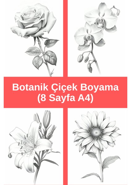 Botanik Çiçek Boyama Sayfaları 1, (8 Adet A4 Boyut).
