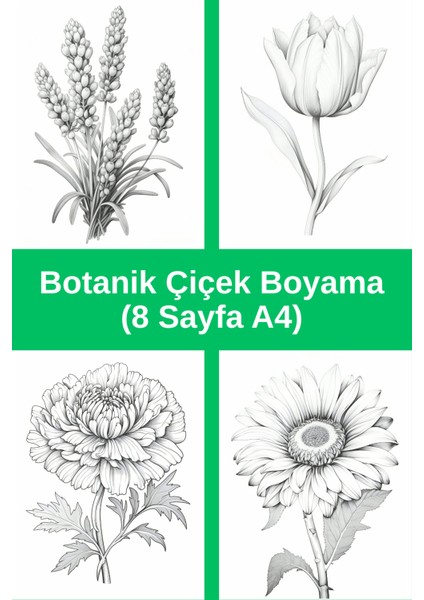 Botanik Çiçek Boyama Sayfaları 2, (8 Adet A4 Boyut)