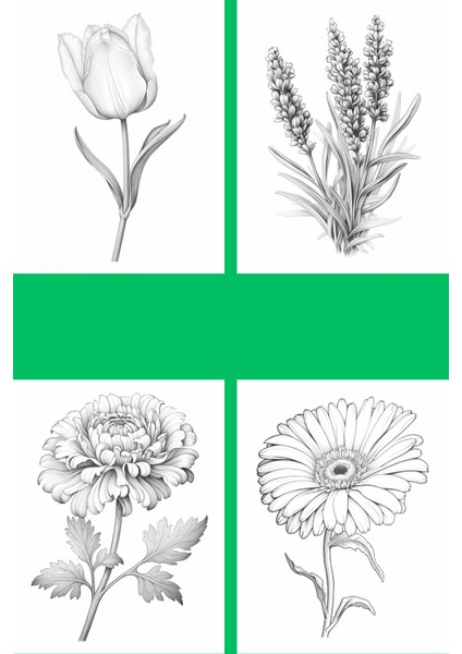 Botanik Çiçek Boyama Sayfaları 2, (8 Adet A4 Boyut) fiyatları