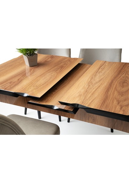 Açılır Yemek Masası Norm Ahşap Desen/kapalı 130X80-AÇIK 160X80 Ahşap Desen (Lake Panel High Gloss) indirimleri