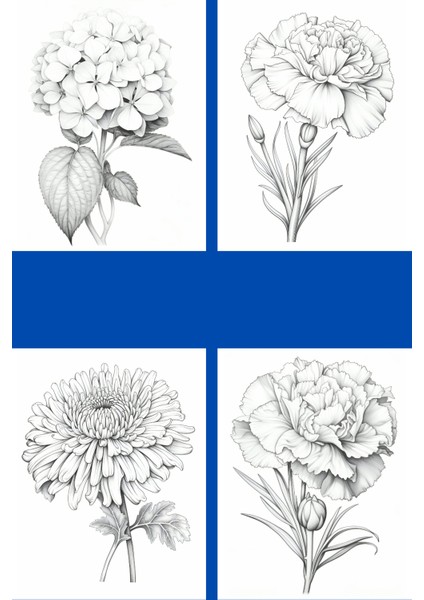 Botanik Çiçek Boyama Sayfaları 4, (8 Adet A4 Boyut) fiyatları