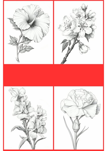 Botanik Çiçek Boyama Sayfaları 5, (8 Adet A4 Boyut) fiyatları