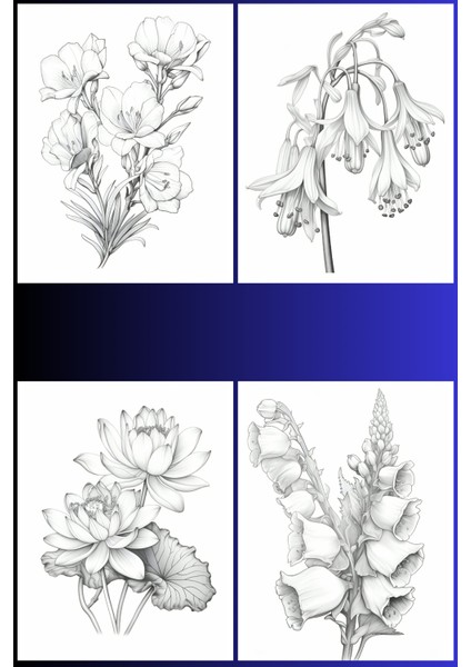 Botanik Çiçek Boyama Sayfaları 6, (8 Adet A4 Boyut) fiyatları