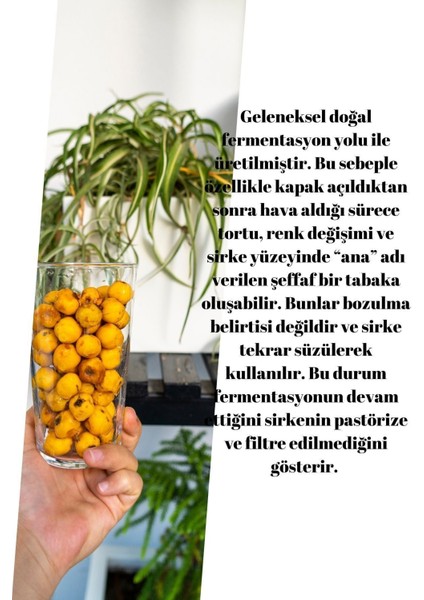 Alıç Sirkesi 5 lt Katkısız Ev Yapımı – Saf ve Doğal Lezzet indirimleri