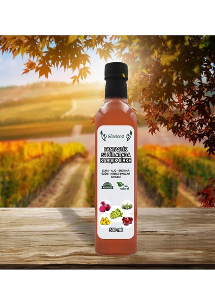 Doğal Karışık 5’li Sirke - Sağlıklı Beslenme - El Yapımı Doğal Sirke fiyatları