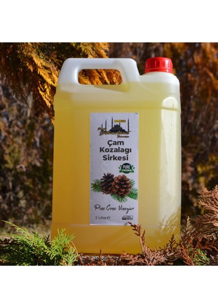Çam Kozalağı Sirkesi 5lt | Katkısız Doğal fiyatları