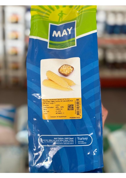 Agro Tohumculuk Vega F1 Tatlı Mısır Tohumu 10000 Adet
