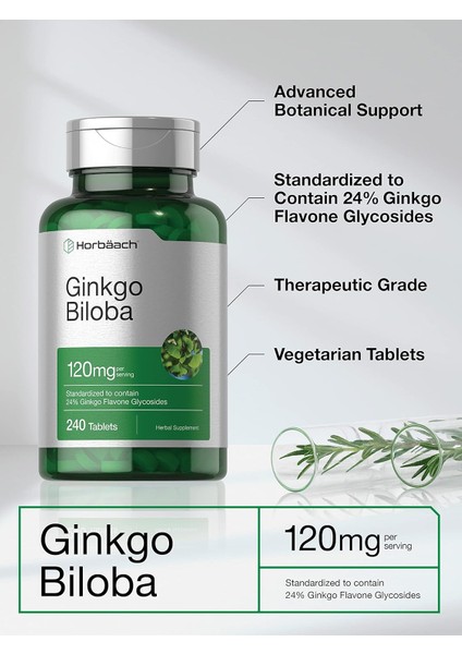 Ginkgo Biloba Mabet Ağacı Ekstrat 120 mg 240 Tablet Flavone Glycoside Vegetarian Gluten Free modelleri