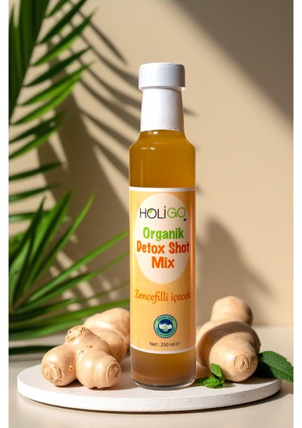 Detox Shot Mix (Zencefilli İçecek) 250ml