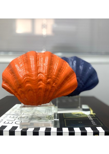 Mercan Krıstalli Midye Istiridye Model Biblo fiyatları