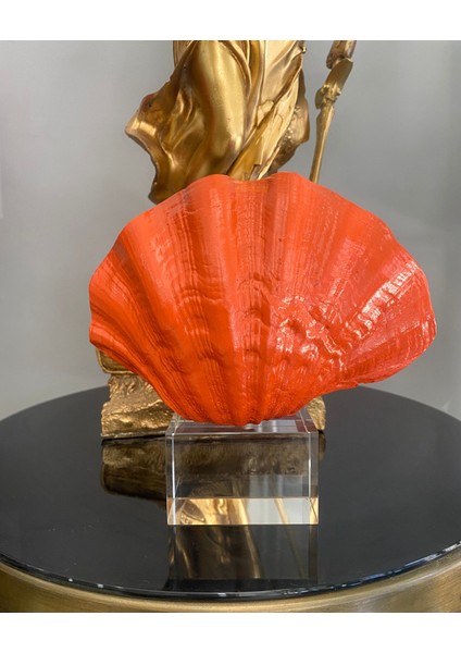 Mercan Krıstalli Midye Istiridye Model Biblo modelleri