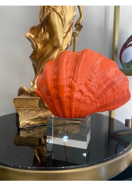 Mercan Krıstalli Midye Istiridye Model Biblo fırsatları