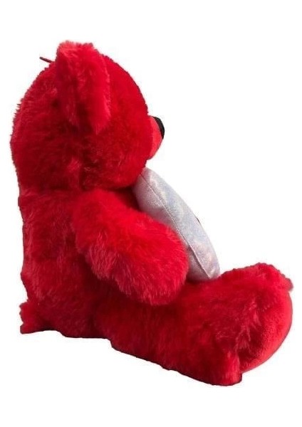 30 cm Ay Yıldız Temalı Ayıcık -Hly