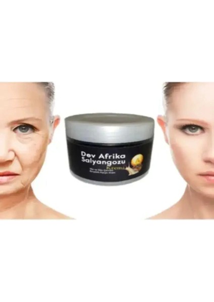Das Dev Arfrika Salyangozu Yara Iltihap Karşıtı Krem 100 ml