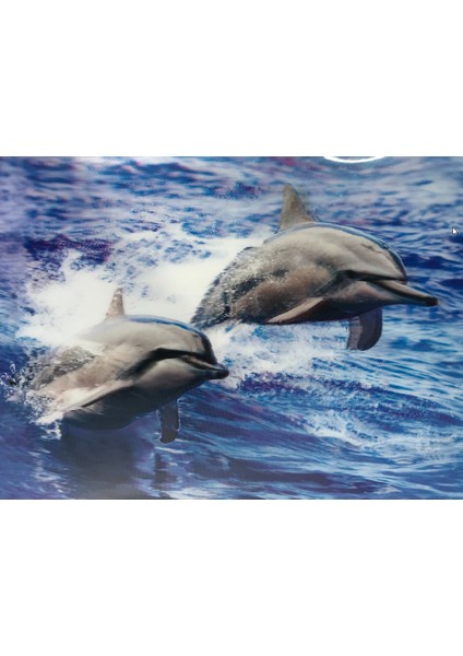 5d Elmas Boyama Sevimli Yunuslar Ikili Yunus Resmi Tablosu 30X40 cm (4767) - TGZ7705-2991