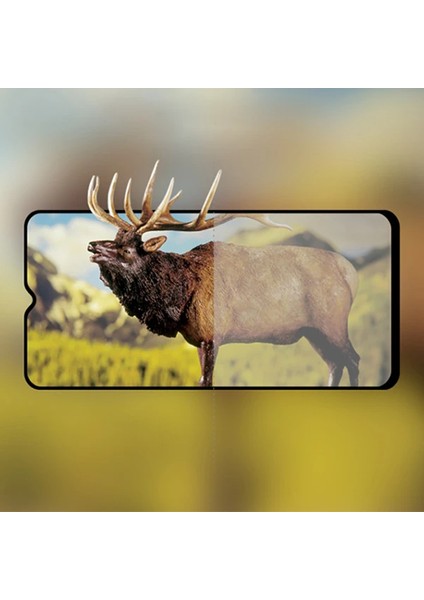 Oppo A9/a5 (2020) 3D Full Glue Tempered Cam Ekran KORUYUCU-(5775) - TGZ7449-9072