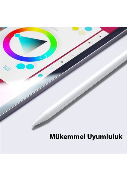 Dux Ducis Apple Pencil Için Renkli Kalem Ucu 10X-(5775) - TGZ9915-9611