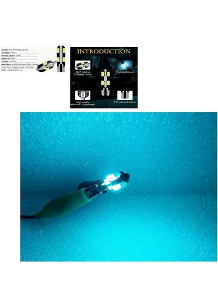 ( 2 x Adet ) 1 Takım Canbus 12 LED T10 Dipsiz Ampul 12V Dome LED Ice Blue (5W Dipsiz Ampul Kubbe LED Buz Mavi)