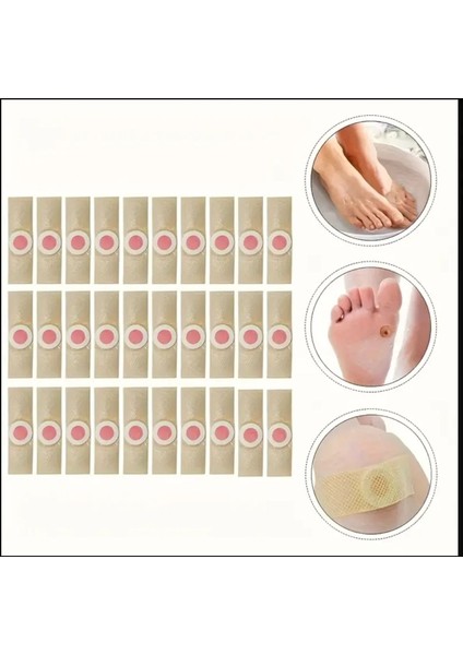 Pengzıng 12 Parça Ayak / Nasır Bakım Seti, Kolay Kullanım fiyatları