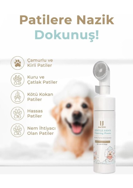 Pati Temizleme Köpüğü 150 ml modelleri