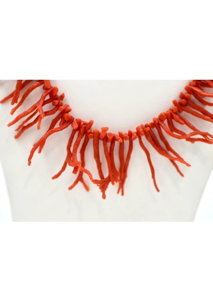 Tunus Kırmızı Mercan Kolye fiyatları