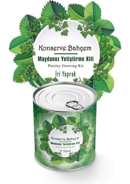 Buffer® Konserve Bahçem Evde Konservede Iri Maydanoz Yetiştirme Kiti