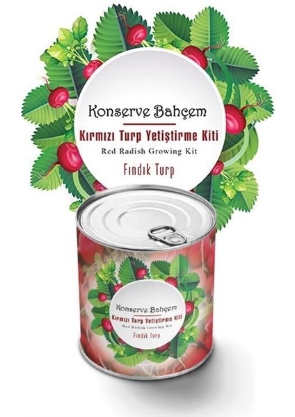Buffer® Konserve Bahçem Evde Konservede Fındık Turp Yetiştirme Kiti