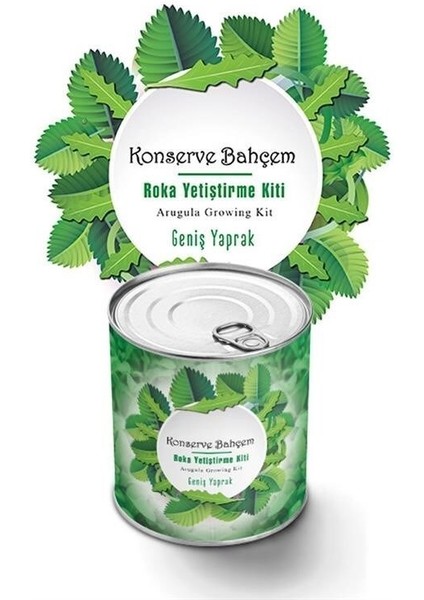 Buffer® Konserve Bahçem Evde Konservede Iri Yapraklı Roka Yetiştirme Kiti