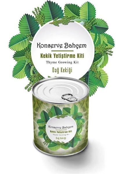 Buffer® Konserve Bahçem Evde Konservede Kekik Dağ Kekiği Yetiştirme Kiti