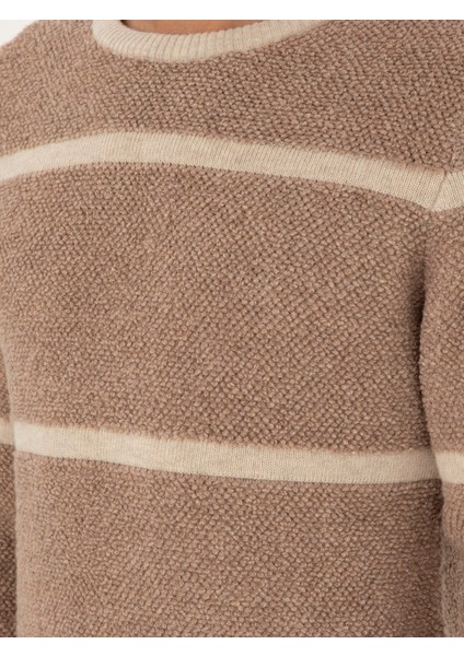 Erkek Bej Regular Fit Kazak 50291911-VR011