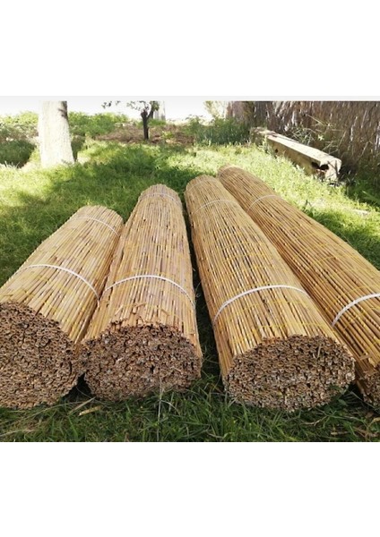 Polynaturel Bambu Kamış Hasır 2 Metre x 6 Metre