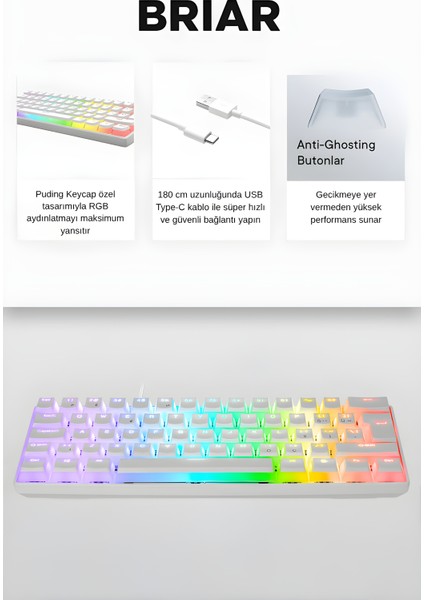 Brıar Type-C Bağlantılı Rgb Puding Tuşlu Mekanik Red Switch Türkçe Q Gaming Oyuncu Klavyesi Be