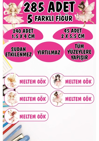 Okul Etiketi Kalem Defter Etiketi Peri Diyarı Özel Isimli Etiket 5 Figür - 285 Adet