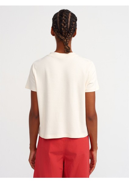 30584 Dilvin Bisiklet Yaka Pamuklu T-Shirt modelleri