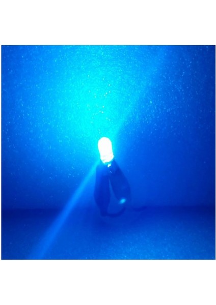 ( 5 x Adet ) 1 Set LED T10 Dipsiz Ampul 12V Dıamond Pıne. Ice Blue (5W Dipsiz Ampul Elmas Cam Buz Mavi)