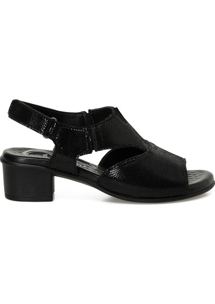 105498.Z5FX Siyah Kadın Comfort Sandalet