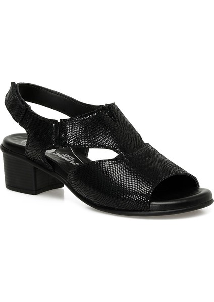 105498.Z5FX Siyah Kadın Comfort Sandalet