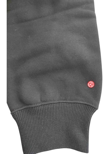 Jordan Artist Series By Mia Lee Fleece Kadın Siyah Sweatshirt DV2002 Aslan Sport indirimleri