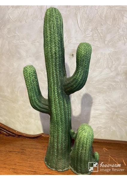 Kaktüs Büyük Bahçe Balkon Dekor Ürünü