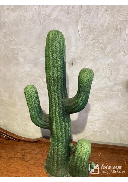 Kaktüs Büyük Bahçe Balkon Dekor Ürünü modelleri