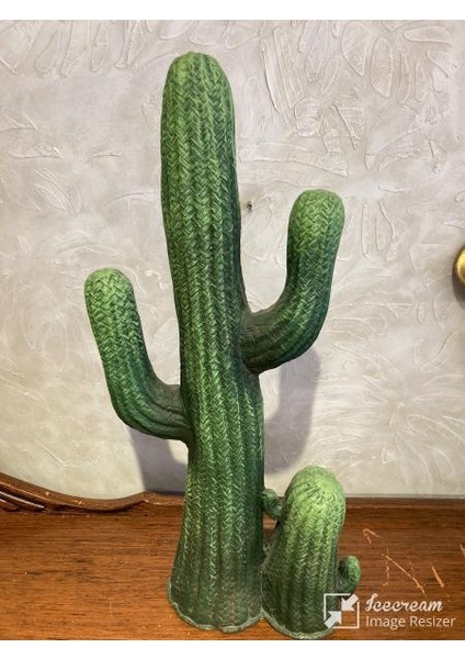 Kaktüs Büyük Bahçe Balkon Dekor Ürünü fırsatları