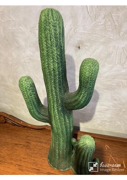 Kaktüs Büyük Bahçe Balkon Dekor Ürünü indirimleri