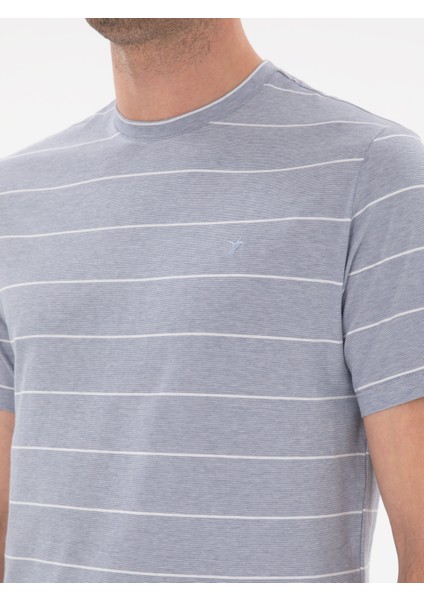 Erkek Beyaz Regular Fit Bisiklet Yaka Çizgili T-Shirt 50301352-VR036