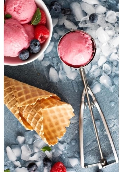 Çelik Dondurma Kaşığı fiyatları