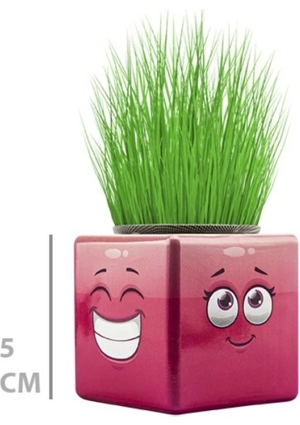 Çim Adam Mini Küp Emoji Figürlü 1 Adet