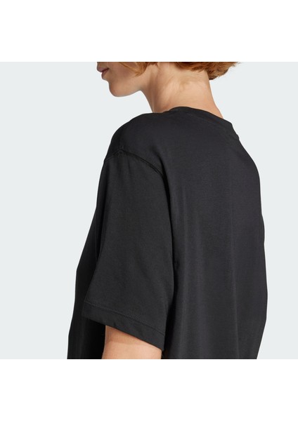 Originals JV7188 Adicolor Trefoil Boxy Tee fırsatları