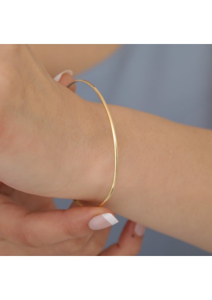 14 Ayar Mikron Altın Kaplama Düz Parlak Ajda Gümüş Bilezik - BV00113
