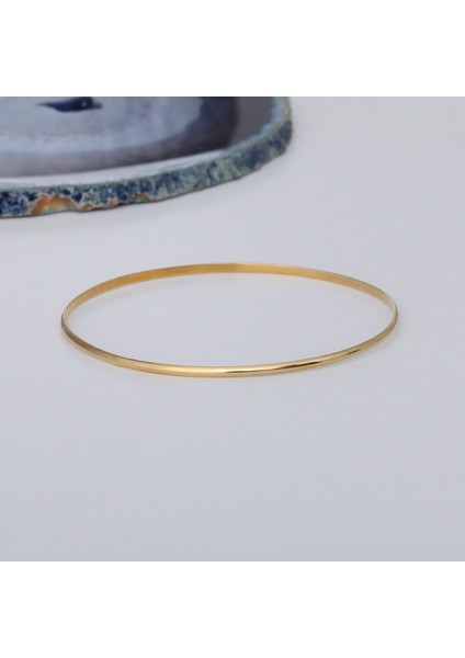 14 Ayar Mikron Altın Kaplama Düz Parlak Ajda Gümüş Bilezik - BV00113 fiyatları