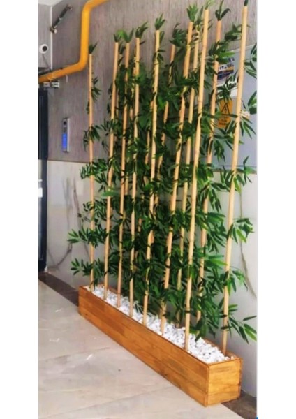 2 Metre Boyunda Bambu Ağaç Ahşap Çam Lambiri Saksıda modelleri