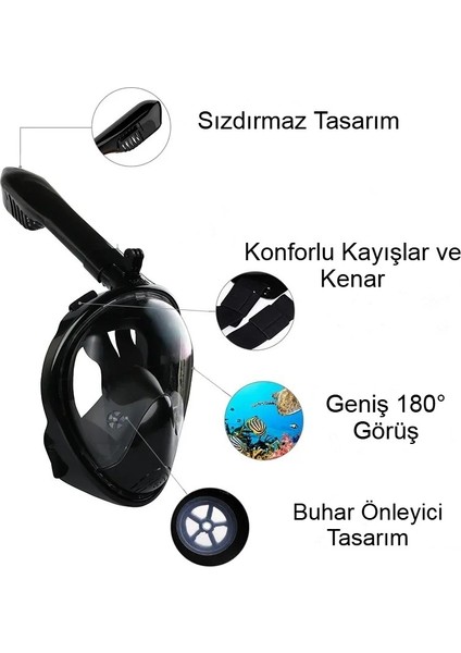 Yetişkinler Için Tam Yüz Şnorkel Maskesi, 180° Görüş, Anti Sis, Kolay Nefes, Kuru Şnorkel modelleri